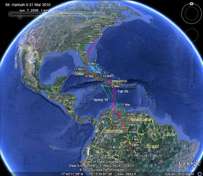 osprey migration route